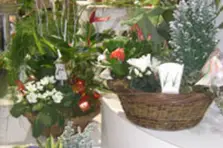 La Boutique Fleurie — photo 5