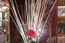 La Boutique Fleurie — photo 6