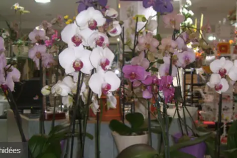 La Boutique Fleurie — photo 4