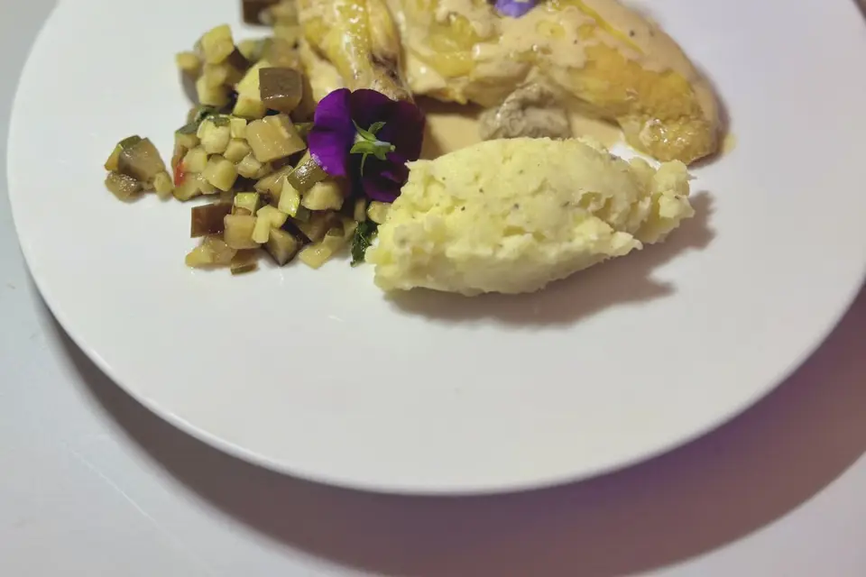 Alliance — photo 3