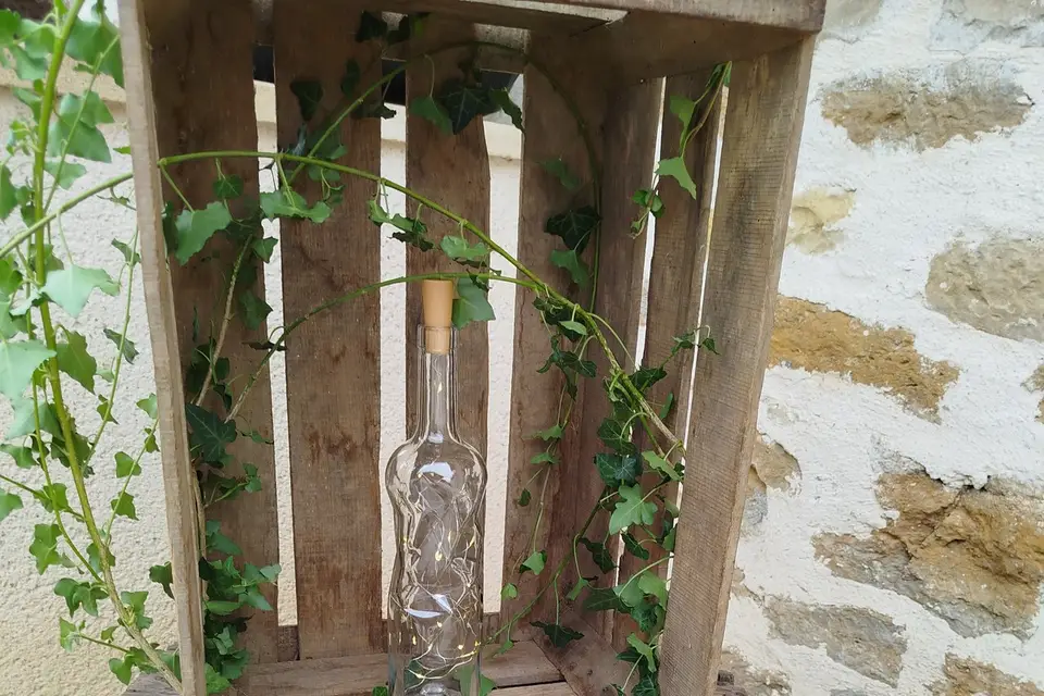 Signature V.S. Evénements — photo 7