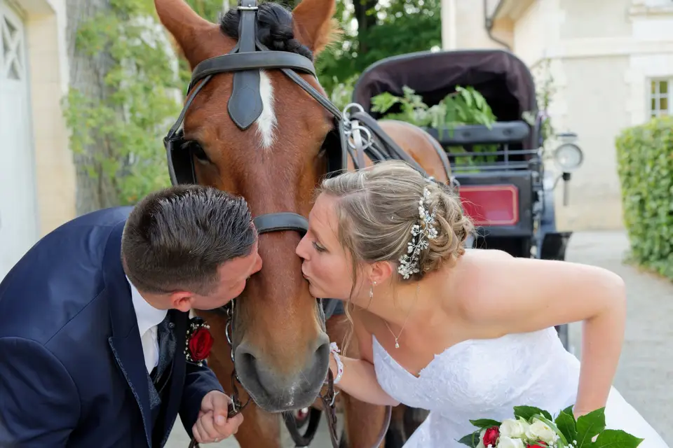 Domaine de Bon Espoir — photo 7