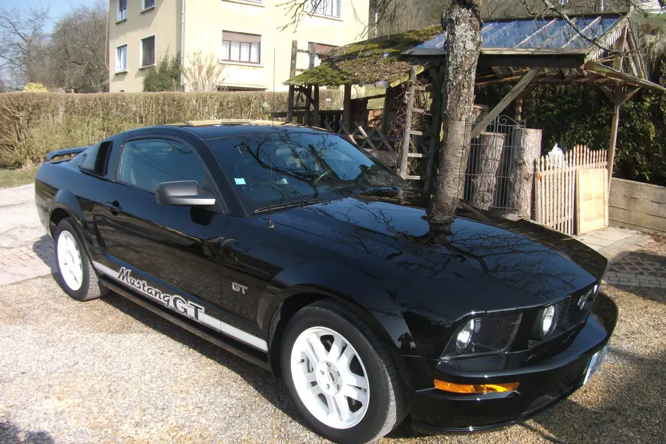 Mustang Location — photo 2