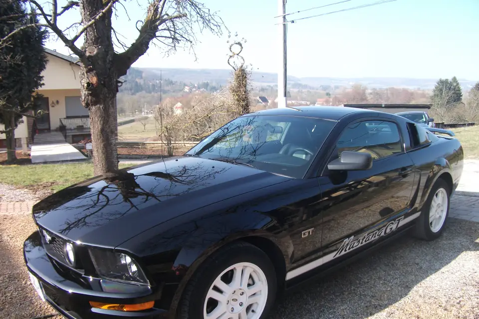 Mustang Location — photo 3