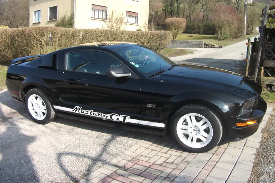 Mustang Location — photo 4