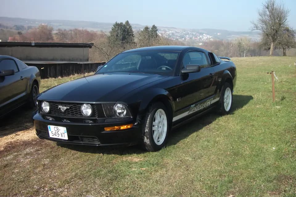 Mustang Location — photo 5