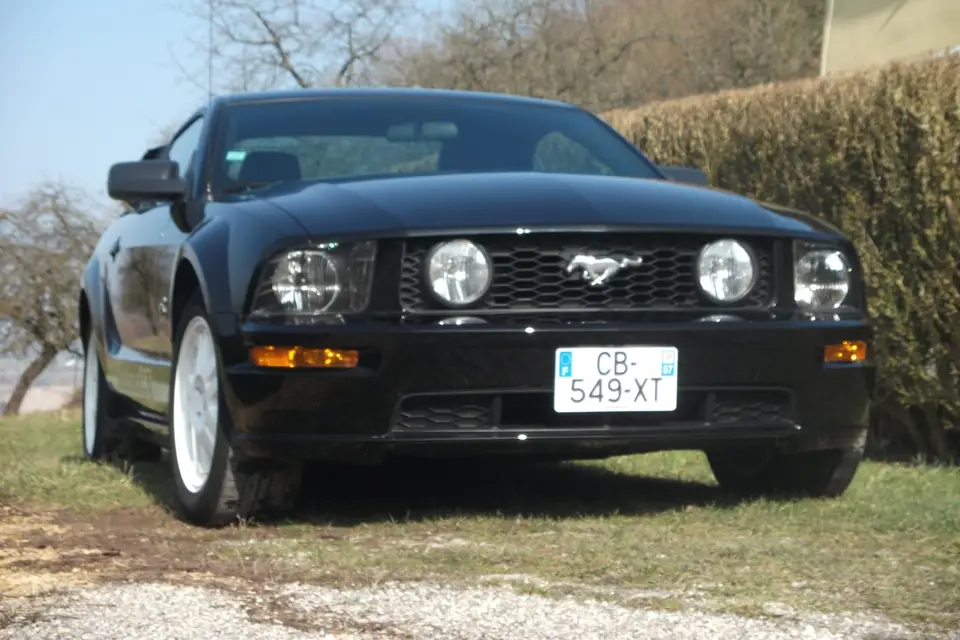 Mustang Location — photo 1