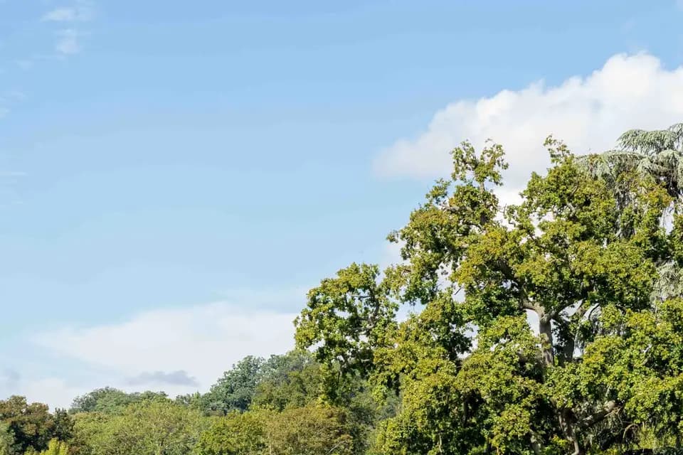 Hôtel Dolce by Wyndham Versailles – Domaine du Montcel — photo 5