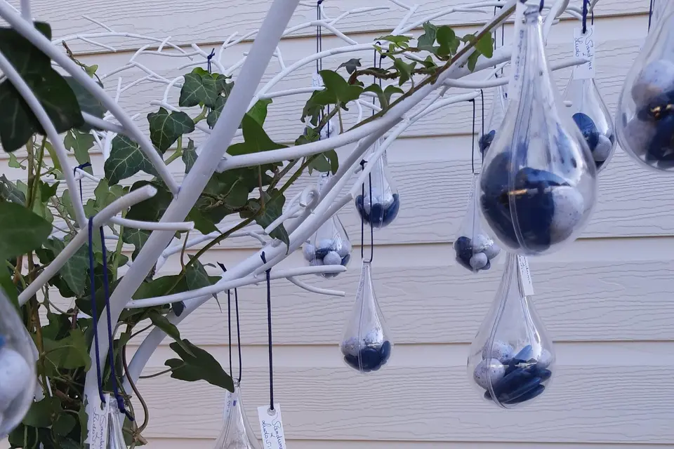 Cote Cacao — photo 6