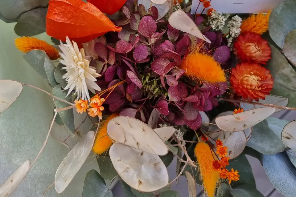 Saboutique — photo 7