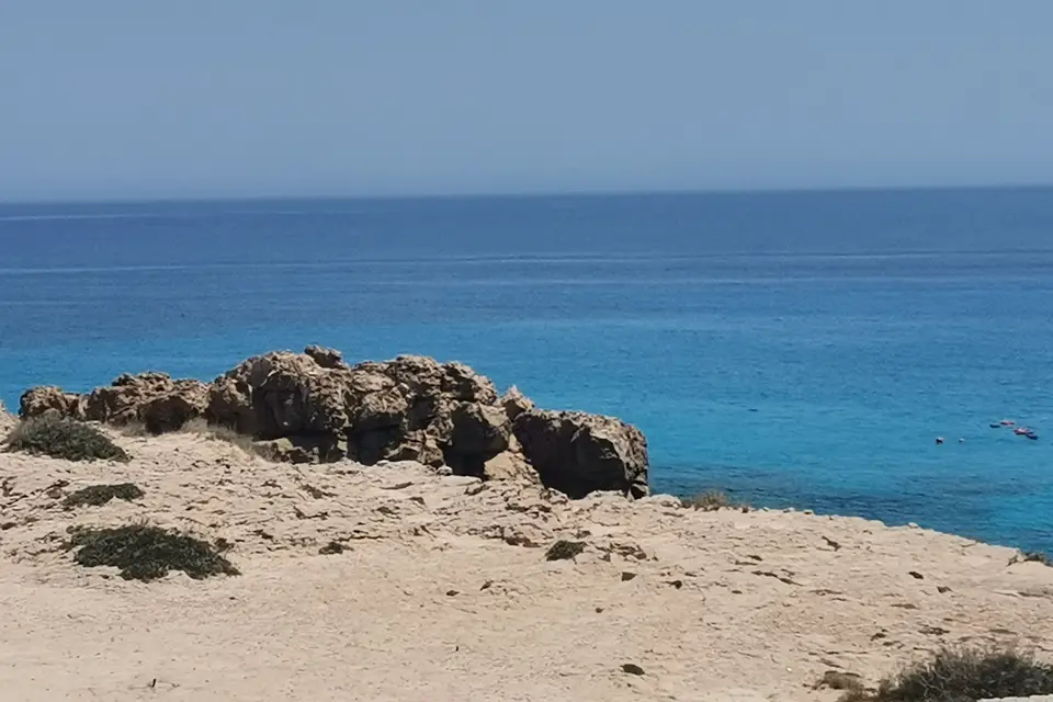 Botany Bay Voyages — photo 3