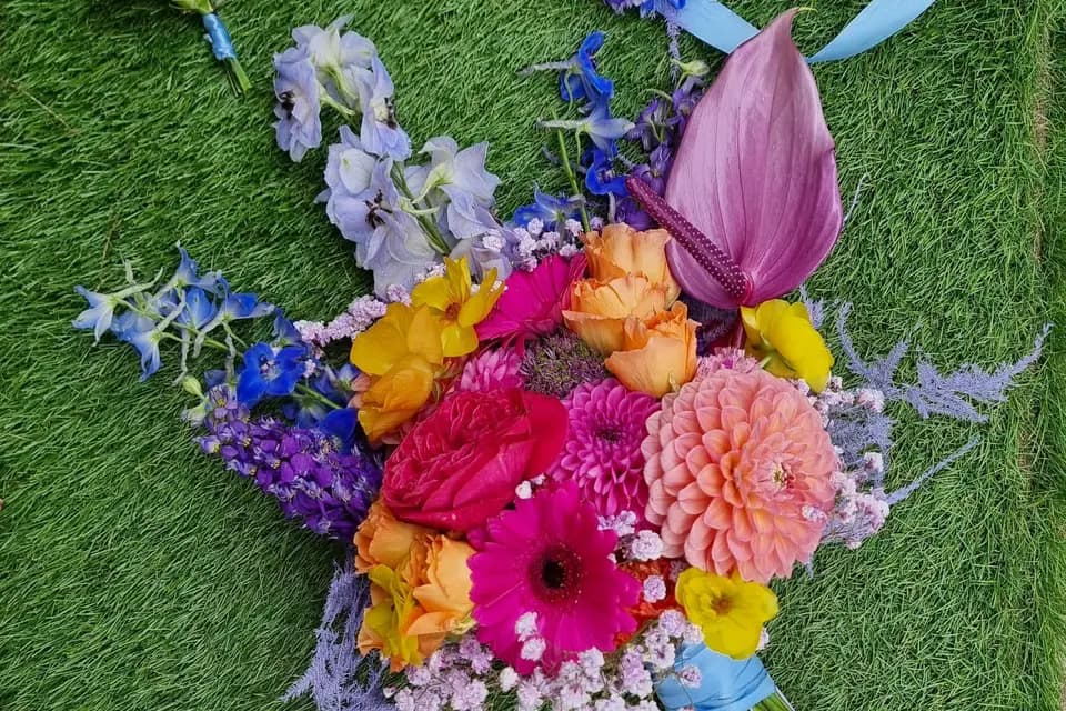 Ficus Pocus — photo 5