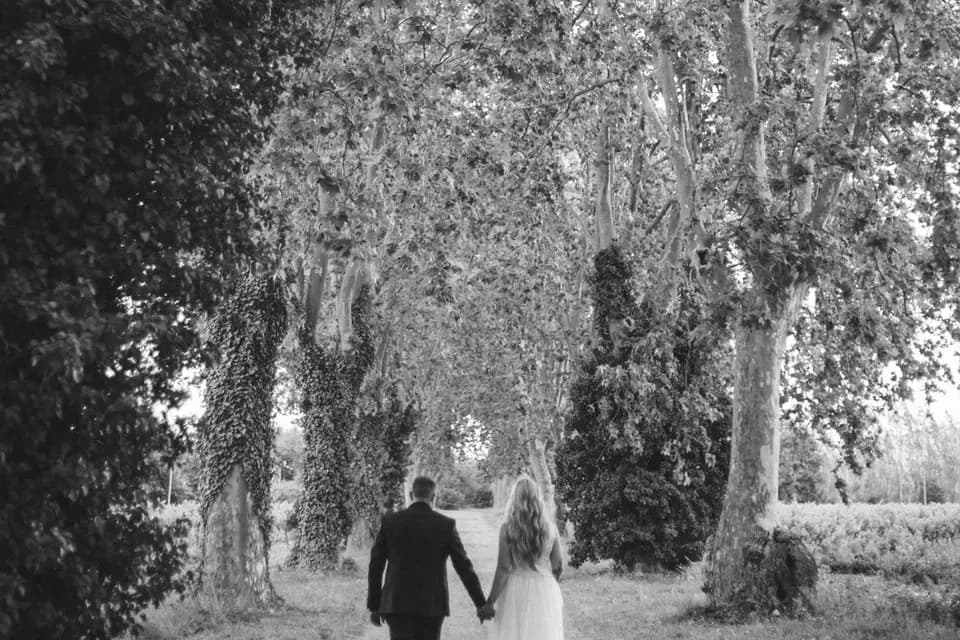 Thom Argentique — photo 7