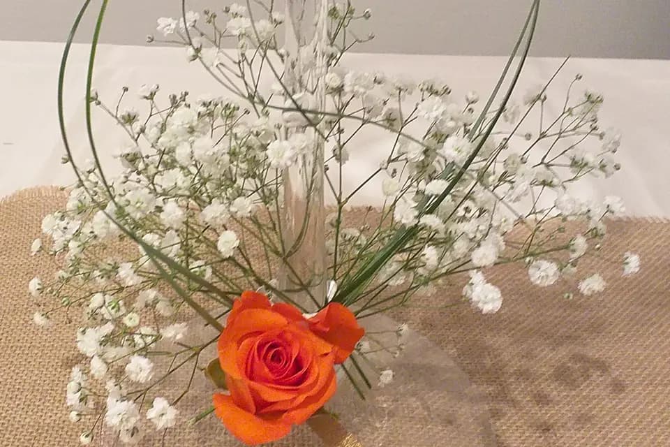 Anne Garance — photo 8