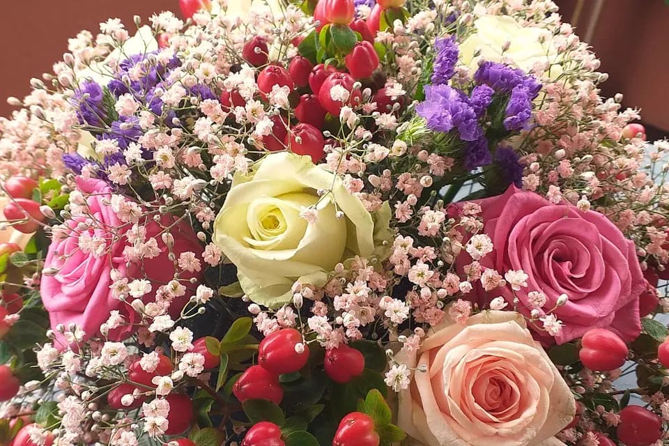 Anne Garance — photo 4