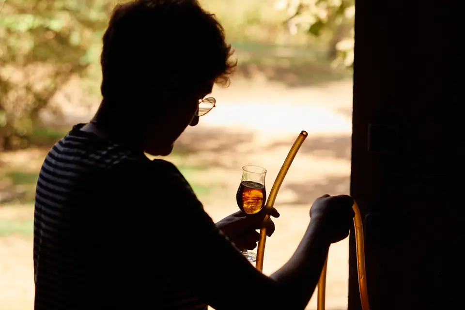 Armagnacs Sourdois — photo 8