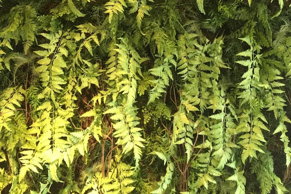 Golden Tulip Roissy Saint-Witz **** — photo 4