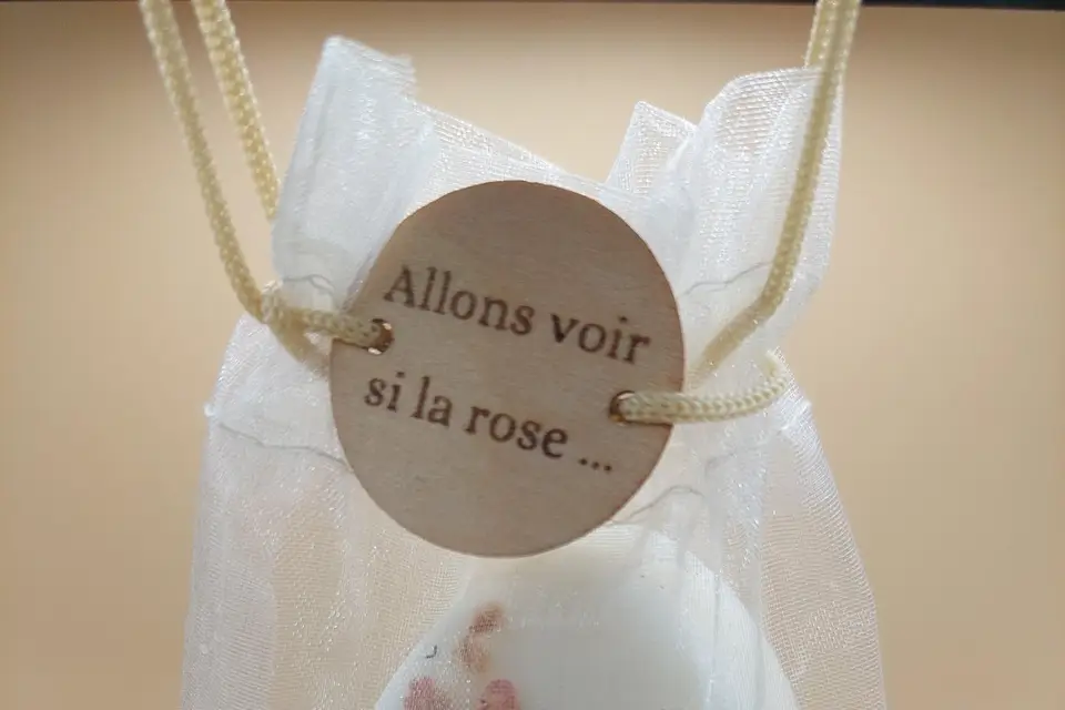 Cosmella — photo 3