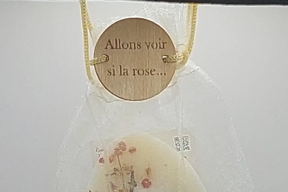 Cosmella — photo 2