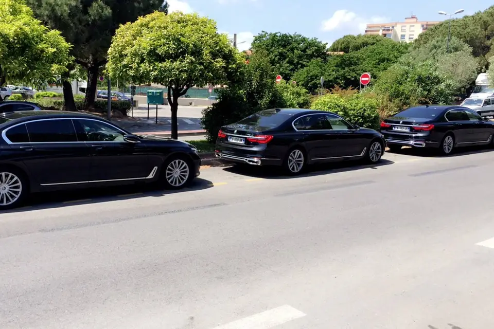 Greenlux Car — photo 3