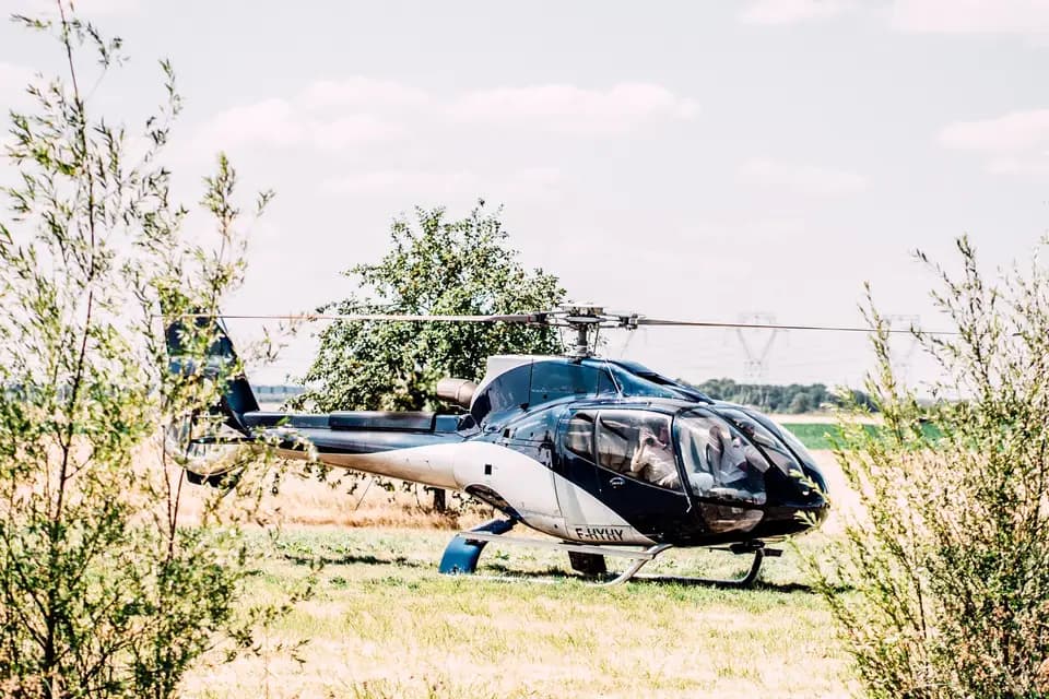 Domaine de la Fauconnière — photo 4