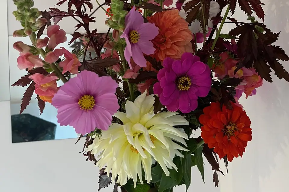 Clématite Sauvage — photo 4