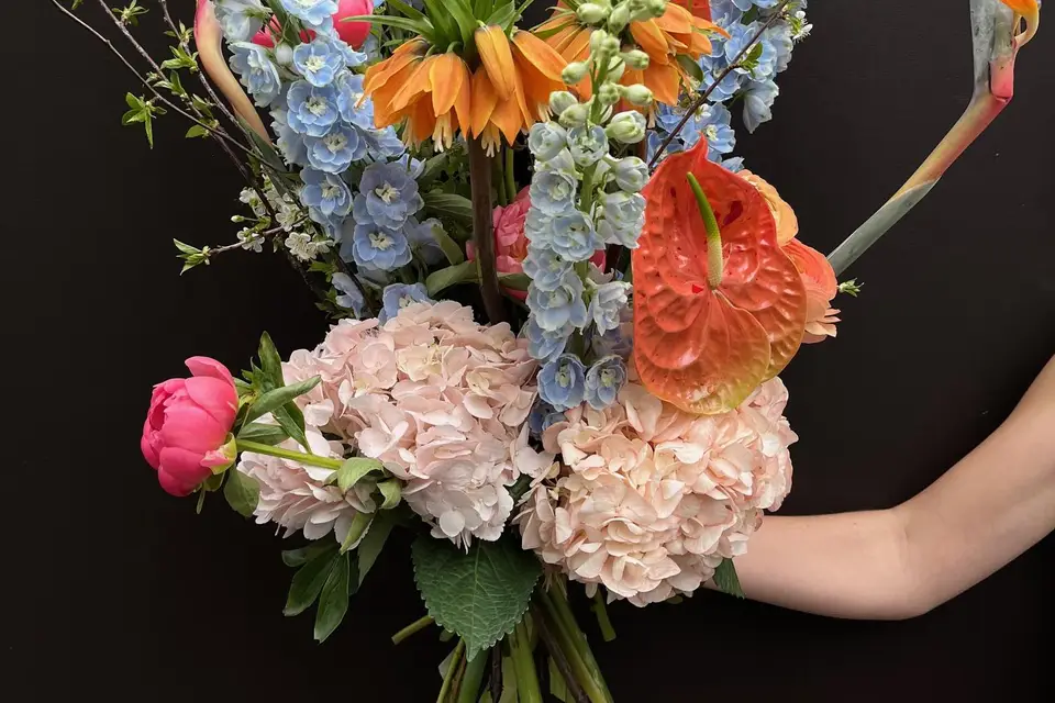 Clématite Sauvage — photo 1