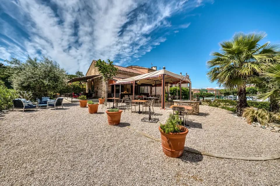 Petit Paul — photo 4