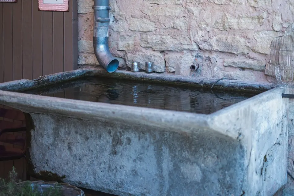 Petit Paul — photo 8