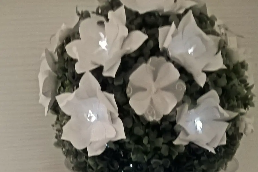 Ninoaa création — photo 2