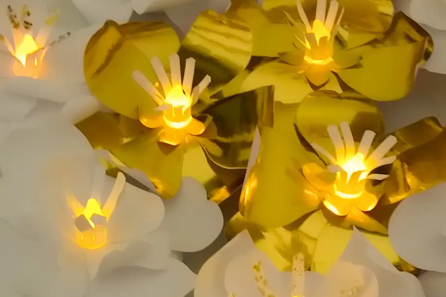 Ninoaa création — photo 7