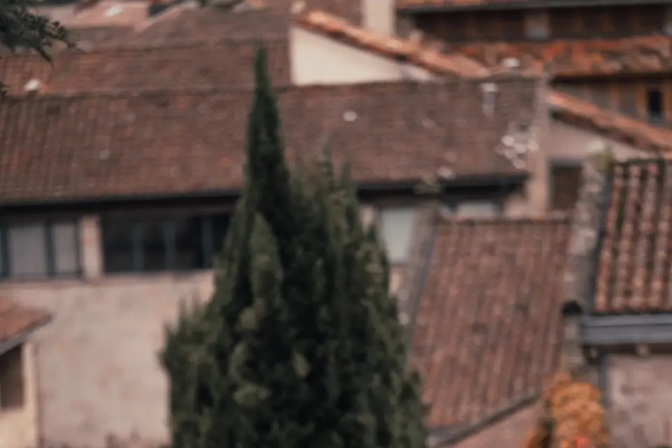 Studio Royer — photo 5