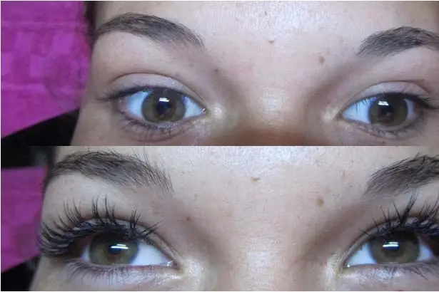 Jolibozongles — photo 6