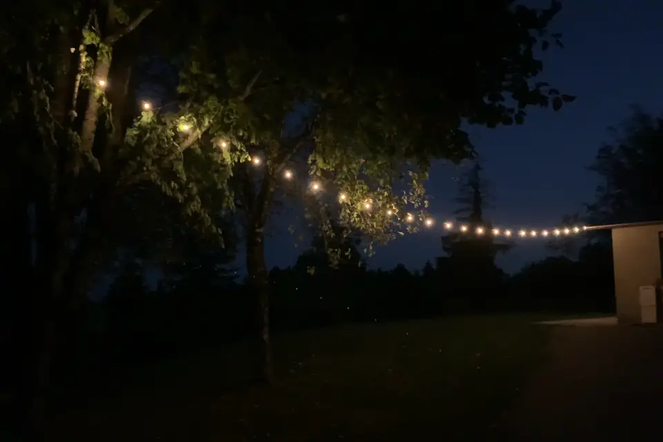 Newent Agency — photo 8