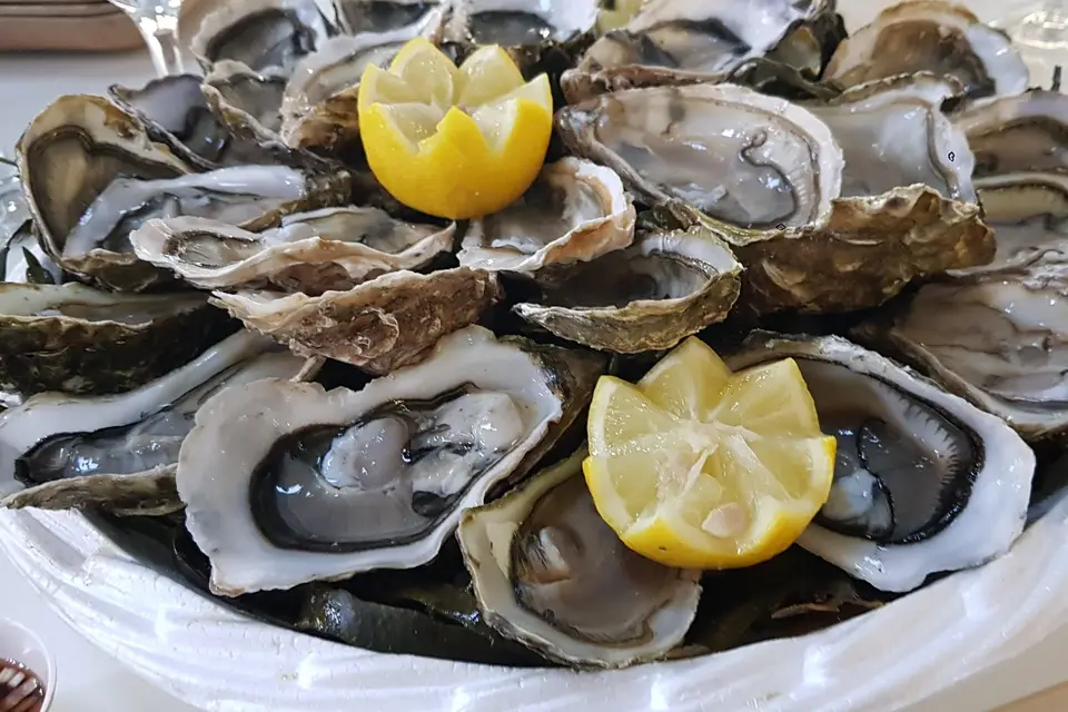 Au fil de l'eau — photo 6