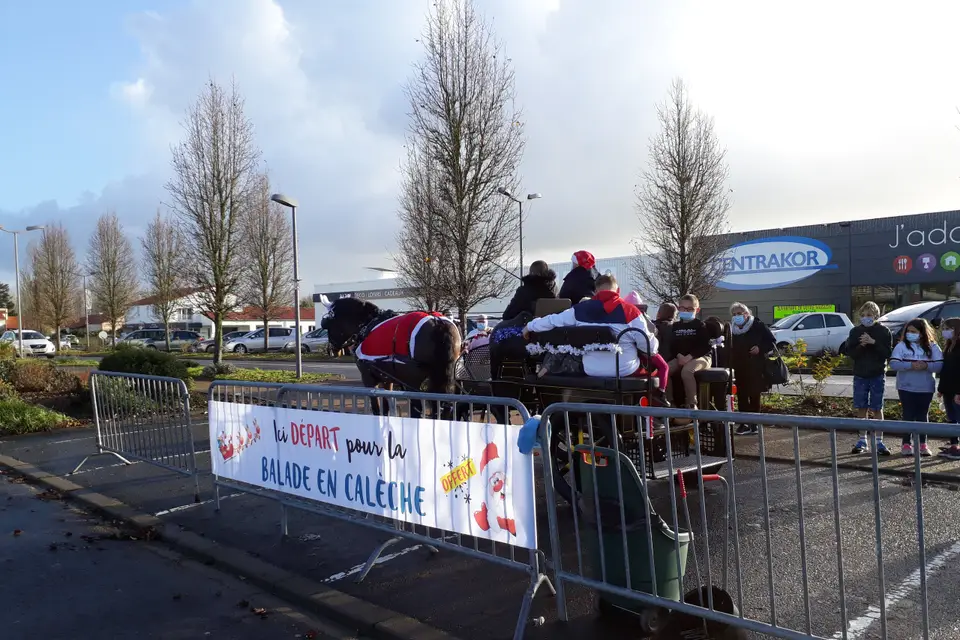 Elevage Cob Normand des Roches — photo 5