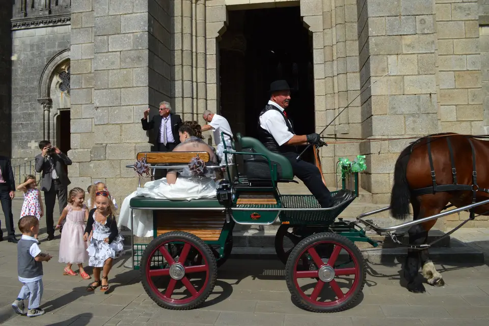 Elevage Cob Normand des Roches — photo 4