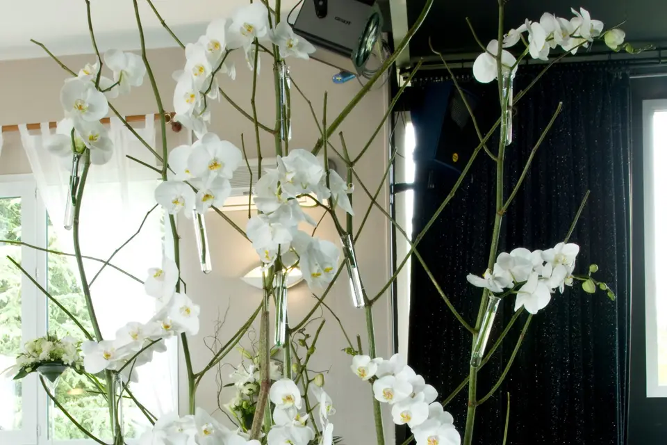 De Fleurs et d'eau Fraîche — photo 1