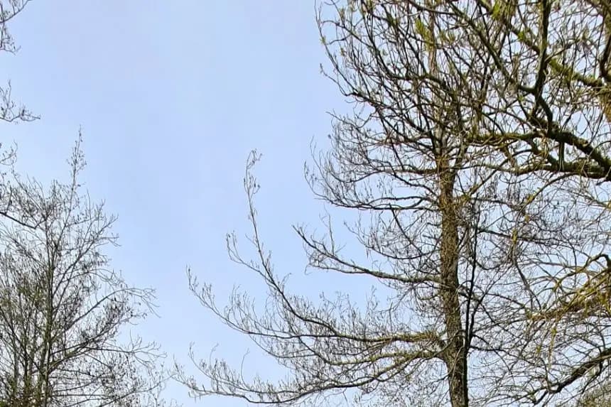 Domaine Lauthier Le Haut — photo 7