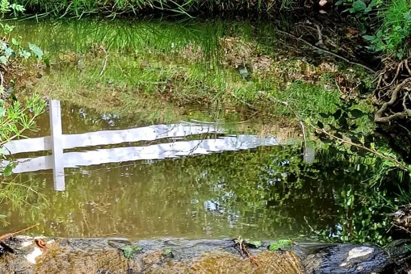 Domaine Lauthier Le Haut — photo 5