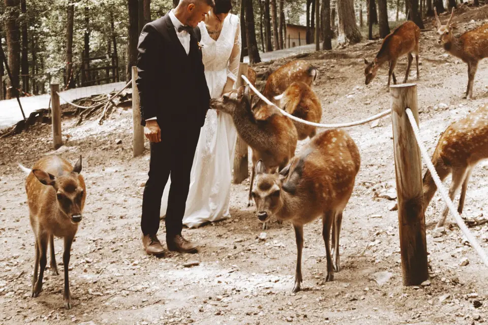 Morgane Florentin — photo 5