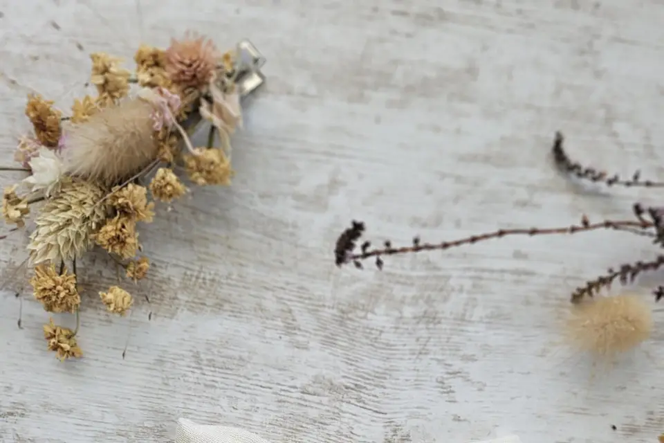 Atelier Tatice — photo 3