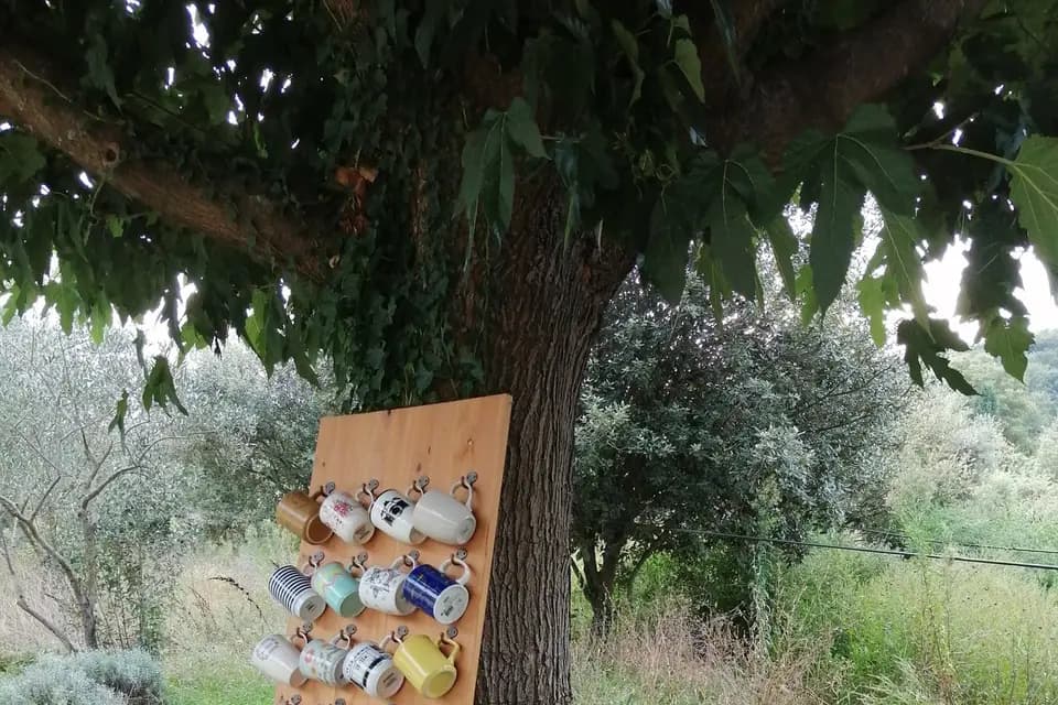 Domaine du Val des Nymphes — photo 7