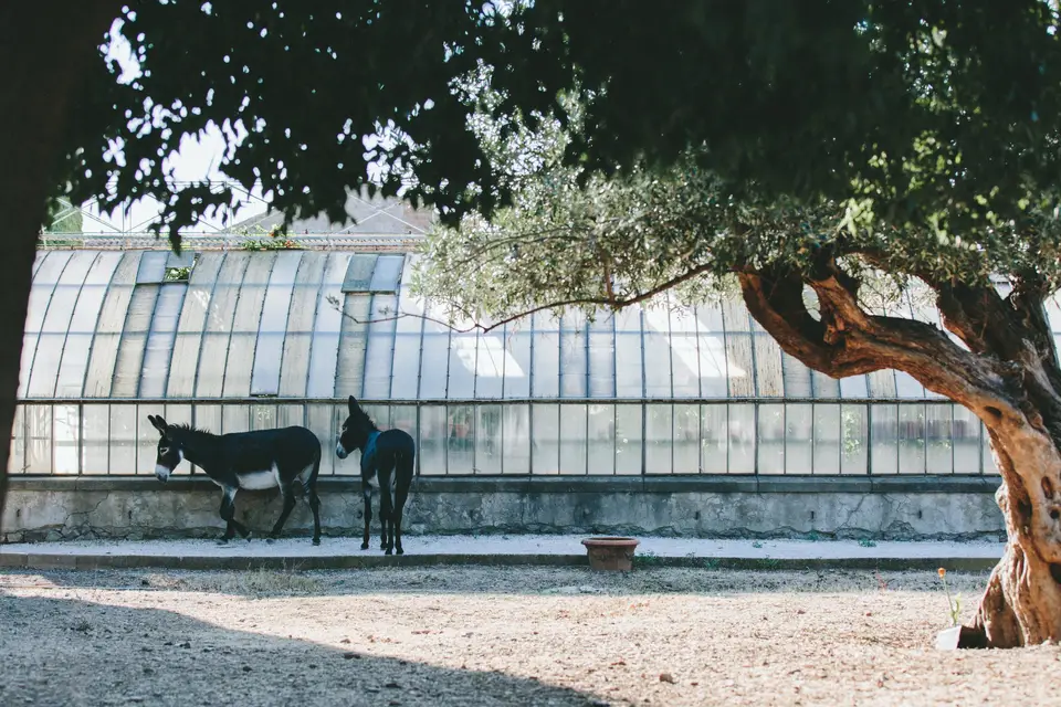 Château de Paraza — photo 7