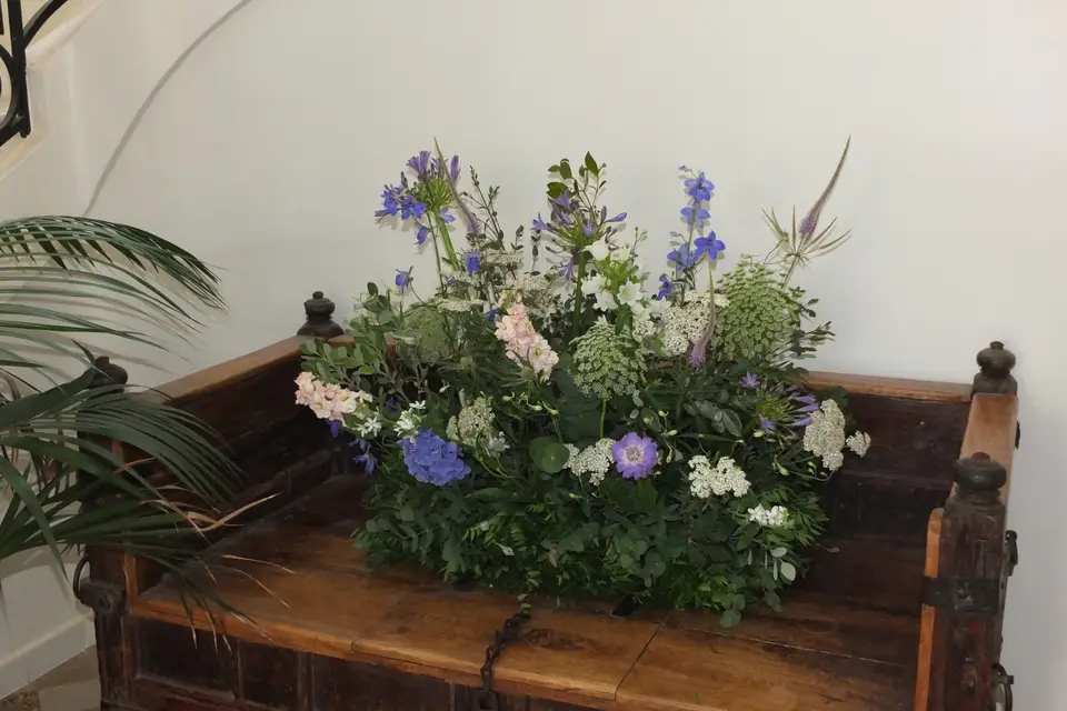 Couleurs et Etamines — photo 3