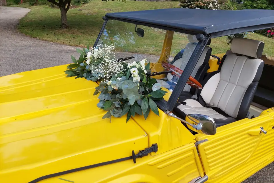 Couleurs et Etamines — photo 6