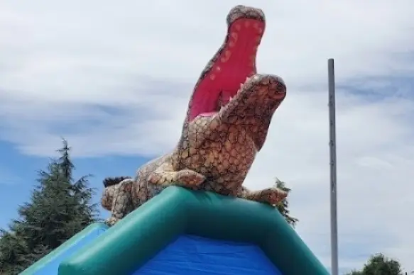 Animparfetes — photo 8