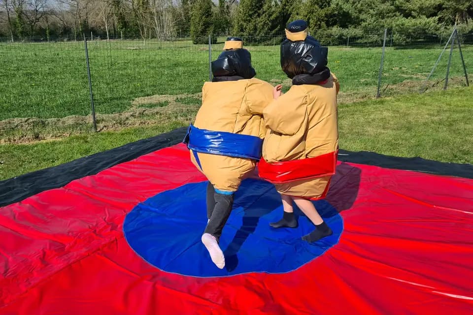 Les Mistingliss — photo 8