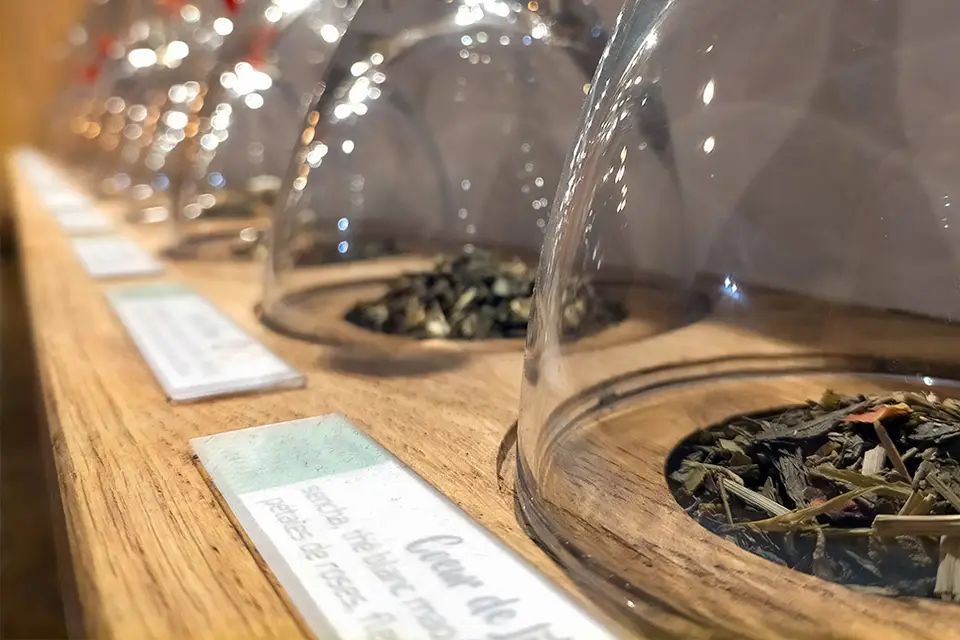 Le Gentlecat — photo 7