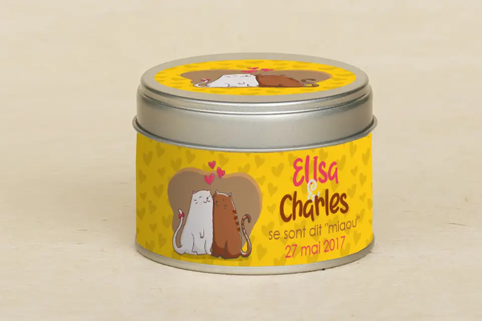 Le Gentlecat — photo 4